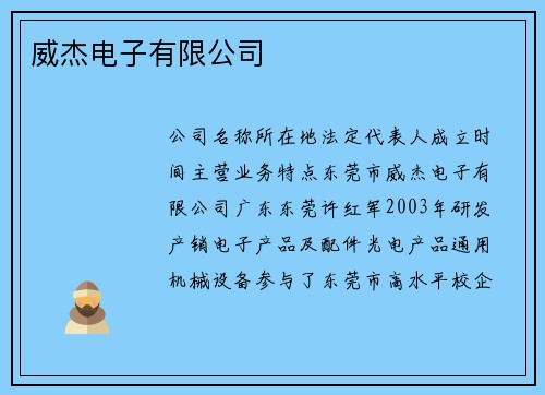 威杰电子有限公司